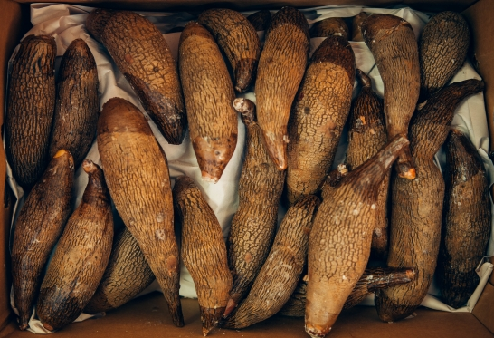 Tropical Yams and its Nutritional Value